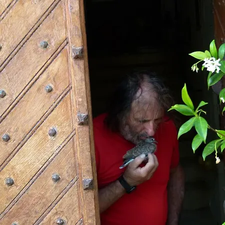 Bed & Breakfast Maison D'art Et D'autres *