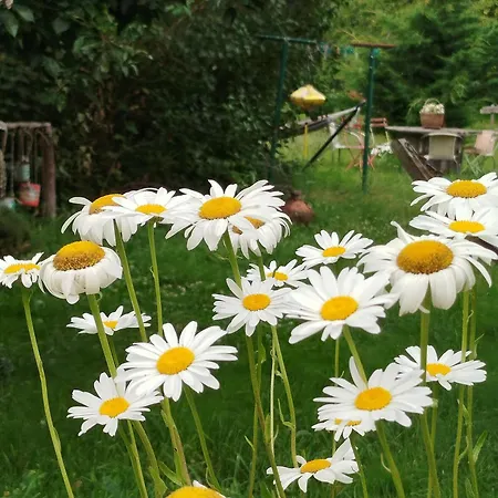 Maison D'art Et D'autres Bed & Breakfast