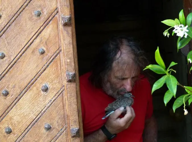 Frühstückspension Maison D'art Et D'autres *