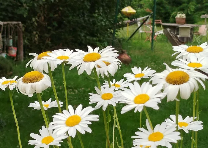 Maison D'art Et D'autres Frühstückspension